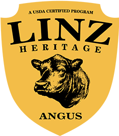 Linz Heritage